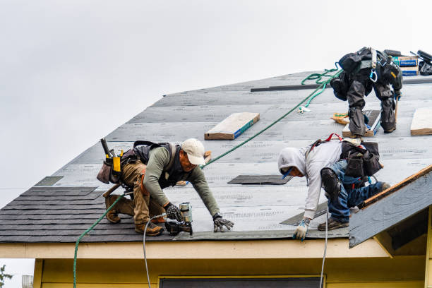 Professional Roofing technician working in Webster, PA